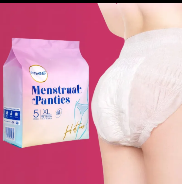 Disposable Period Panties: Menstrual Sanitary Pad